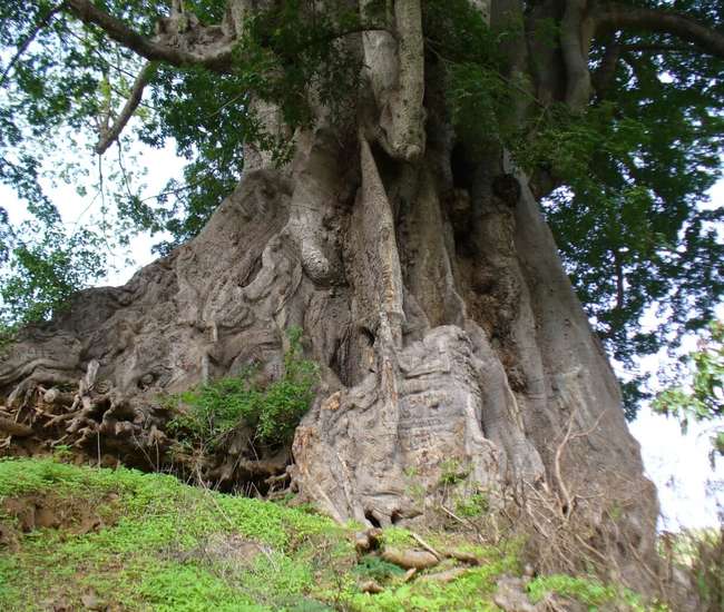 Kapverdische Hauptinsel Santiago