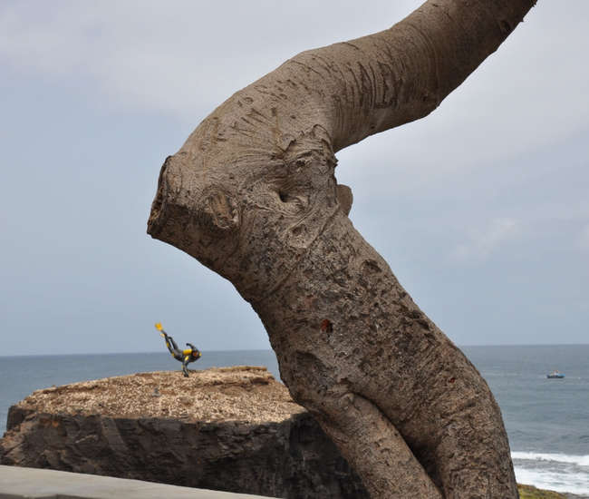 Taucher (Ponta do Sol)