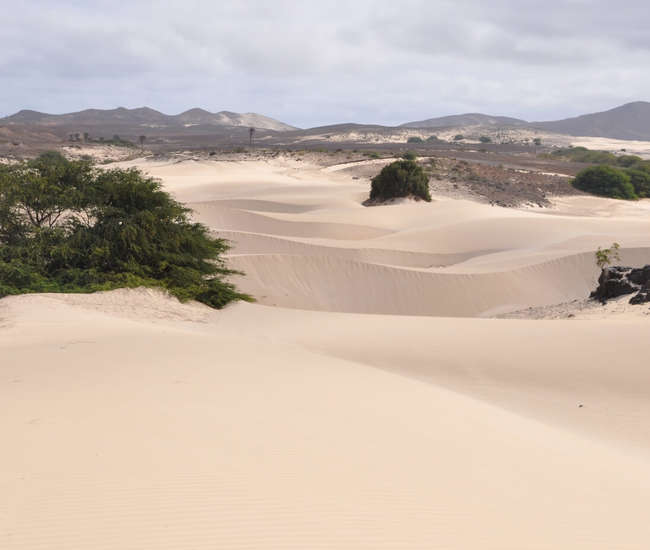 Düneninsel Boavista