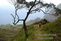 Abstieg auf dem Wanderweg 105 (Pico da Cruz - Ribeira de Janela)