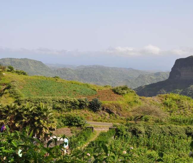 Rundblick von Rui Vaz