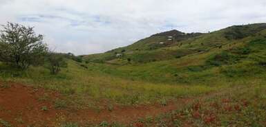 Grüne hügelige Wiese