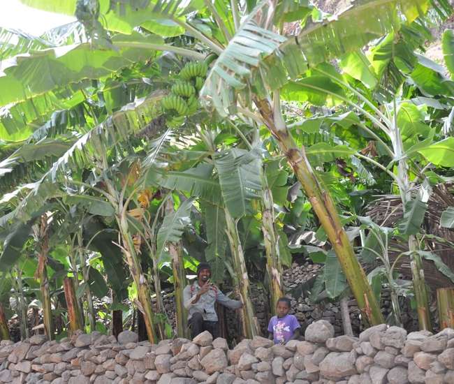 Kapverden individuelle Rundreise: In der Ribeira Cumba