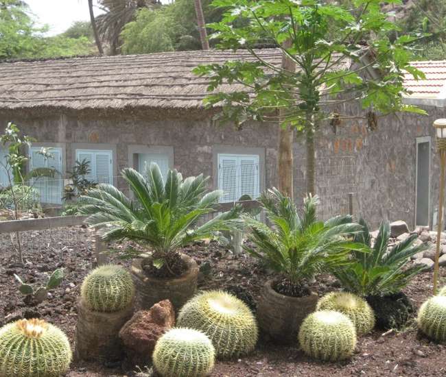 Kapverdische Insel Santiago Rua Banana