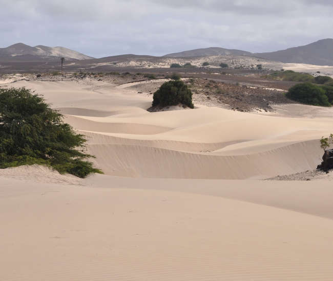 Kapverdische Insel Boavista Inselrundfahrt Viana-Wüste