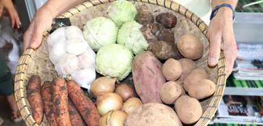 Santo Antão: Gemüse im Korb