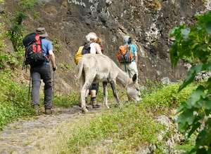Kapverdische Insel São Nicolau Anstieg aus dem Fajatal auf Eselspfaden nach Covoada