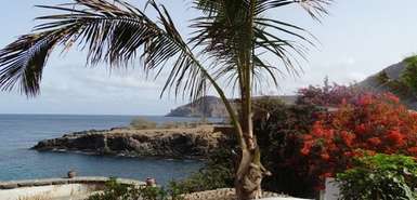 Santiago: Blick über Palmen und blühende Bäume mit Meer im Hintergrund