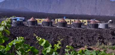 Fogo - Casa Marisa mit seinen Funkus (DZ) im Vordergrund - im Hintergrund die Rückwand der Bordeira