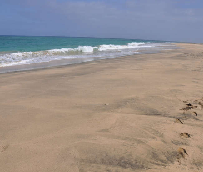 Kapverdische Insel Maio - No Streß - Für Strandläufer
