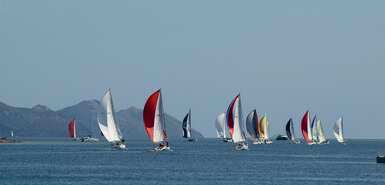 Regatta