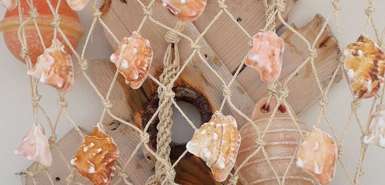 B&B Sereia Azul Boa Vista - Muschelkunst auf weißem Hintergrund
